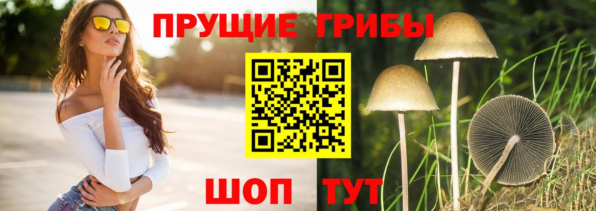 Псилоцибиновые грибы мухоморы  Вход с VPN  Златоуст 